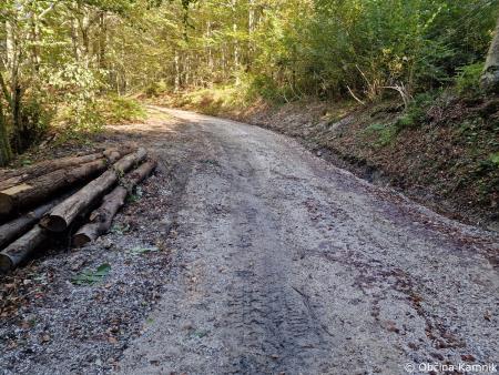 Sanacijska obnova gozdnih cest po poplavah (12)